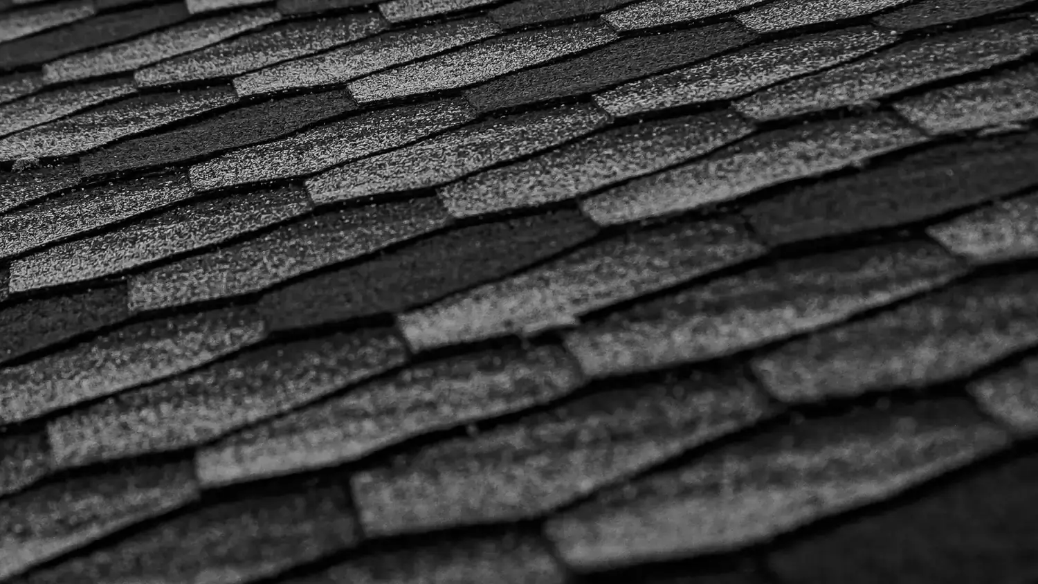 Close-up of dark architectural shingles